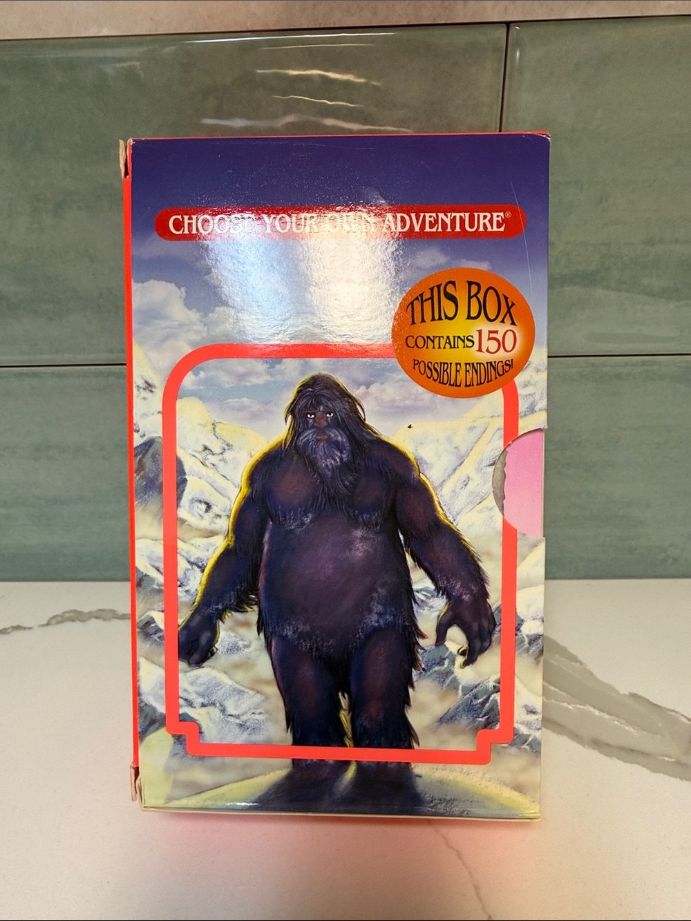 Kids Book Box Set - choose your own adventure